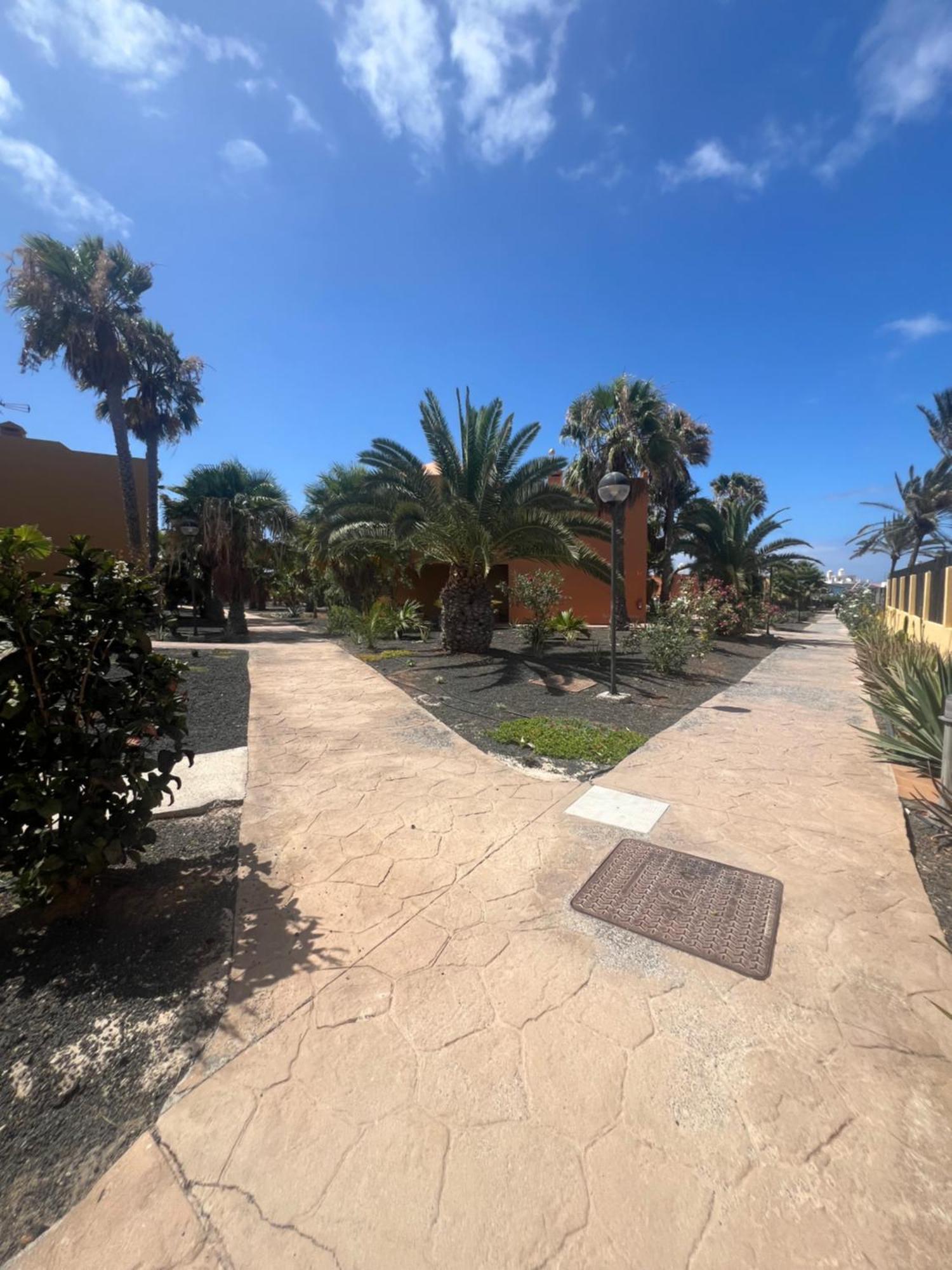 Paraiso Del Mar コラレホ エクステリア 写真