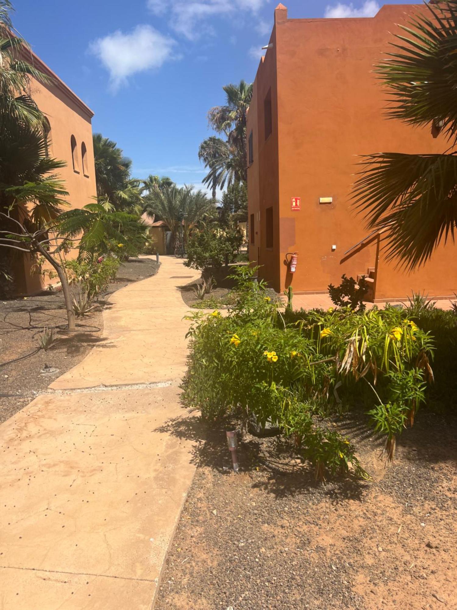 Paraiso Del Mar コラレホ エクステリア 写真