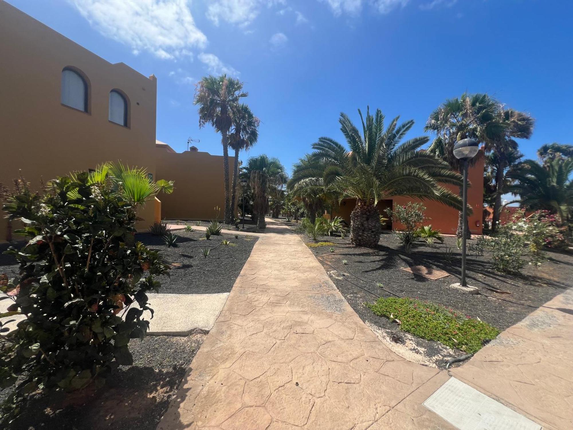 Paraiso Del Mar コラレホ エクステリア 写真